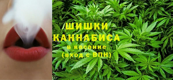 СК Каменск-Шахтинский
