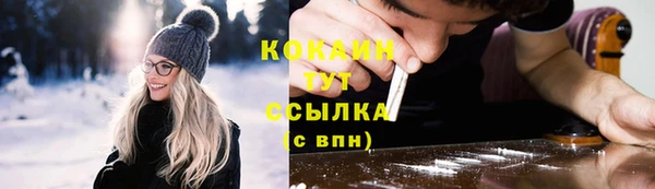 СК Каменск-Шахтинский