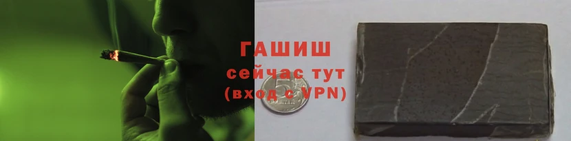 скорость Каменногорск