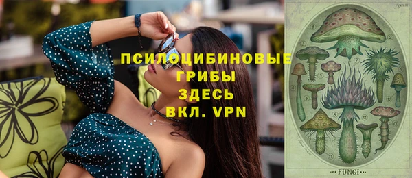скорость Каменногорск