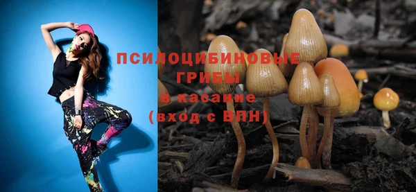 скорость Каменногорск