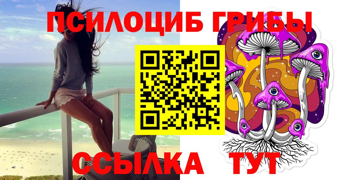 Галлюциногенные грибы Psilocybe Кандалакша