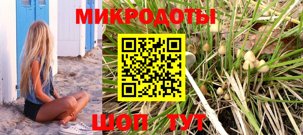Кандалакша  Псилоцибиновые грибы Psilocybine cubensis  Галлюциногенные грибы ЛСД  Вход с VPN 