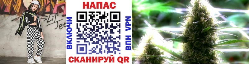 Конопля OG Kush  Кандалакша 